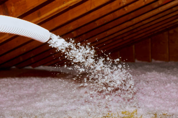 Best Blown-in Insulation in Dilley, TX