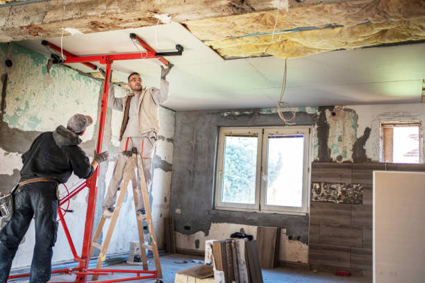 Professional Insulation Contractor in Dilley, TX