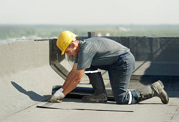 Best DIY Insulation Kits and Guidance in Dilley, TX